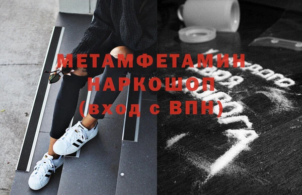 прущие грибы Гусев