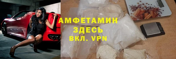 прущие грибы Гусев