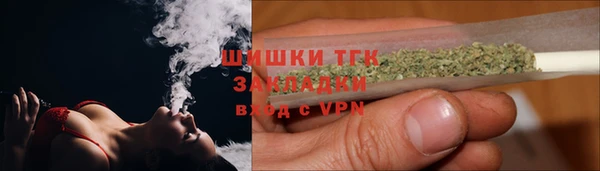 прущие грибы Гусев