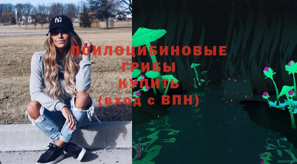 стаф Нефтекумск