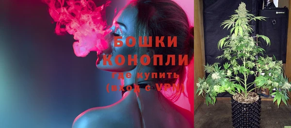 стаф Нефтекумск