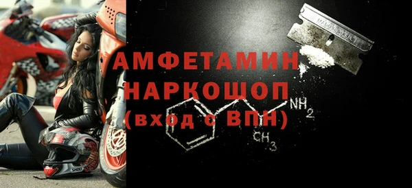 прущие грибы Гусев