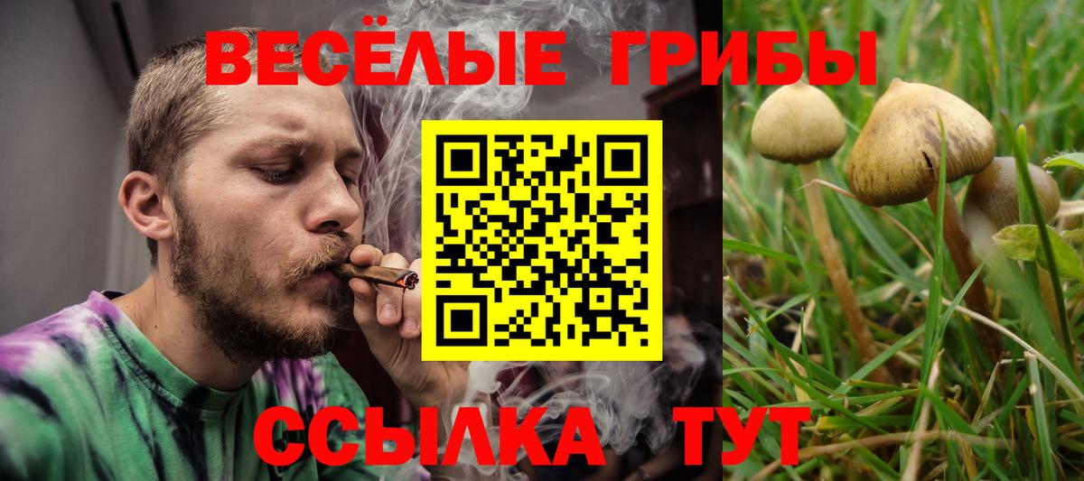 Псилоцибиновые грибы Magic Shrooms  Вход с VPN  Холмск 